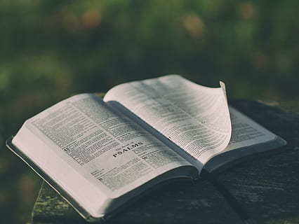 white book page on brown surface, bible, marble, top, daytime HD wallpaper