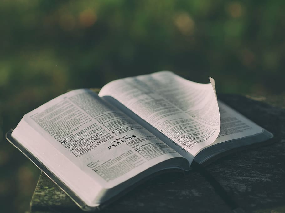 white book page on brown surface, bible, marble, top, daytime HD wallpaper