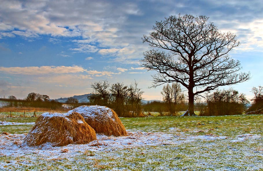 Landscape, Sunset, Sundown, Snow, autumn, light, glow, golden HD wallpaper