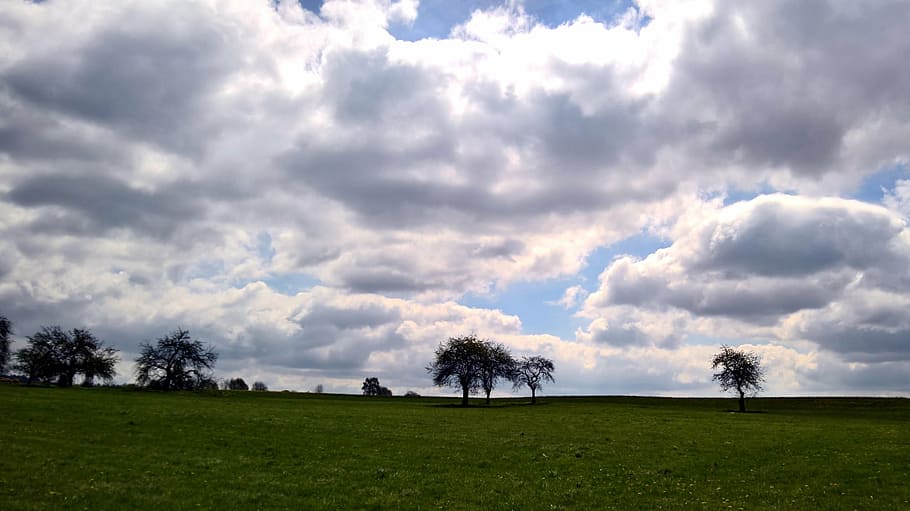 field, sky, clouds, trees, landscape, grass, agriculture, mood HD wallpaper