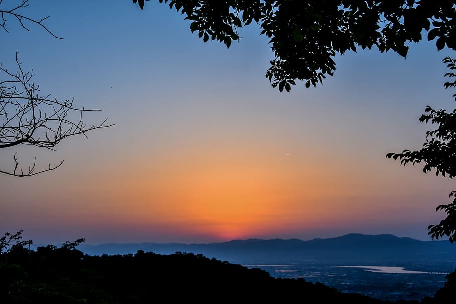 sunset, the scenery, sky, tree, beauty in nature, silhouette HD wallpaper
