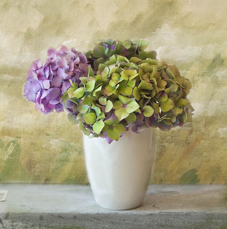 green and pink petal flower in vase centerpiece, hydrangea HD wallpaper