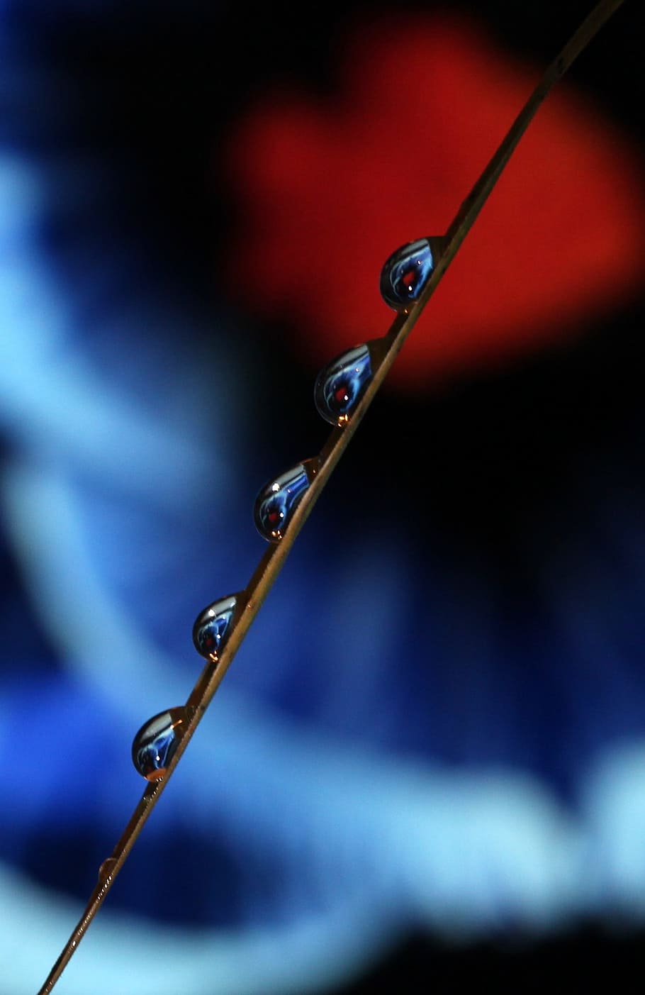 drops, macro, reflection, water, close-up, selective focus HD wallpaper