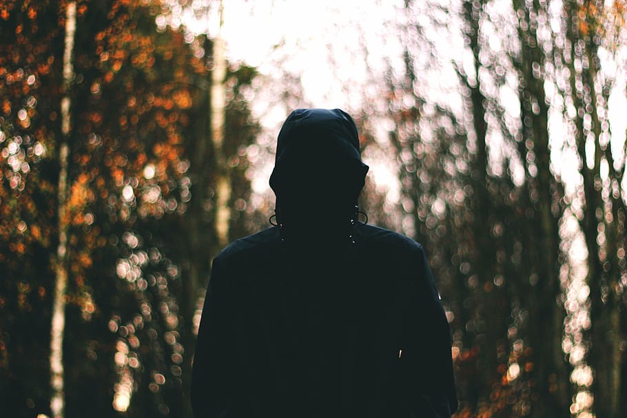 person wearing hoodie surrounded by trees, people, man, alone HD wallpaper