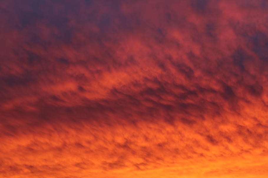 sunset, pink, yellow, clouds, cloudscape, trees, nature, landscape HD wallpaper