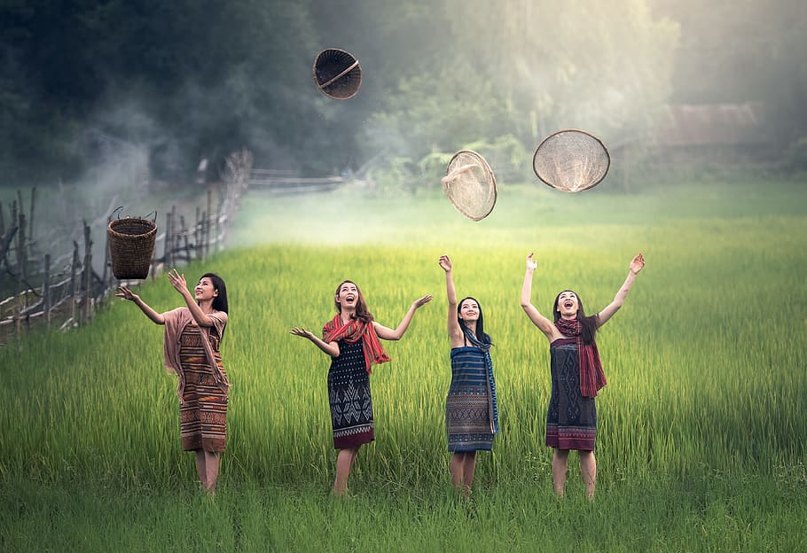four women on rice field throwing baskets at daytime, green, countryside