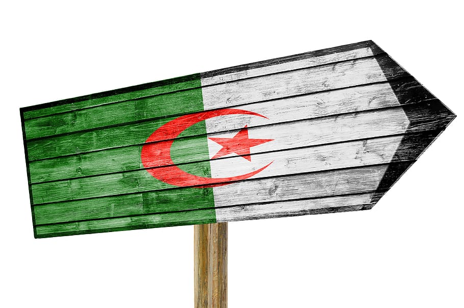 flag, algeria, sign, red, white background, no people, studio shot HD wallpaper