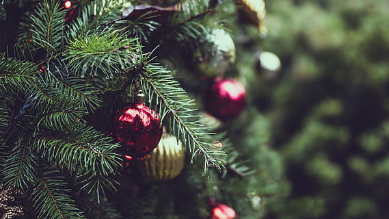 christmas tree with red and gold bauble, lights, ball, decor HD wallpaper