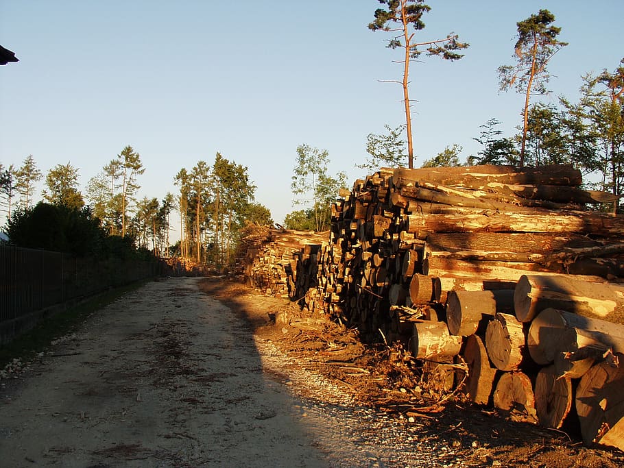 wood, tree trunks, lying, lumber, timber, holzstapel, nature HD wallpaper