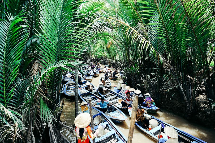 blue rowboat on body of water surrounded of trees, rowboats in river between palm plants HD wallpaper