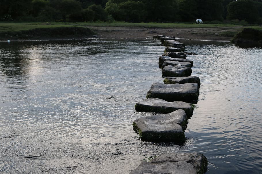 stone pathway on body of water, Steps, Stones, River, nature HD wallpaper