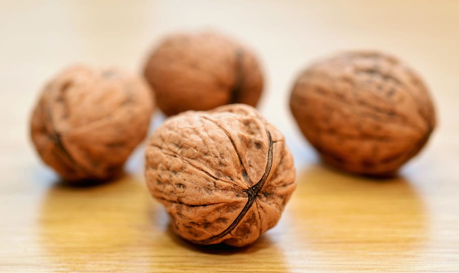 brown nuts photography, walnuts, healthy, shell, tasty, vitamins HD wallpaper