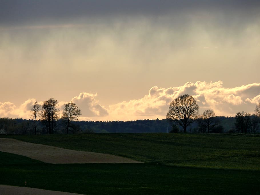 the sun, afternoon, spring, sky, cloud - sky, plant, tranquil scene HD wallpaper
