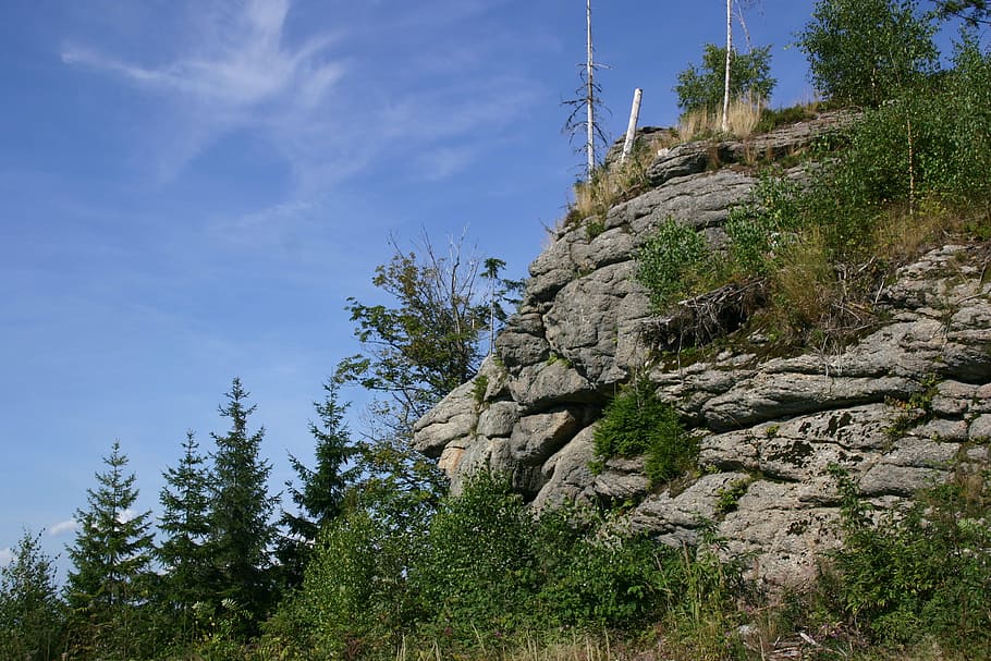 forest, rock, hiking, landscape, plant, tree, sky, growth, low angle view HD wallpaper