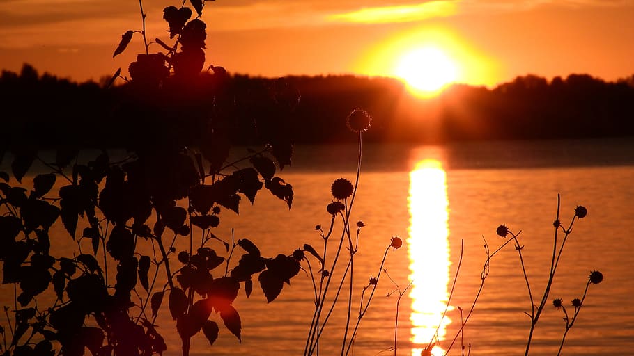 Sunset, Lake, Pond, Evening, Surface, evening sky, twilight HD wallpaper