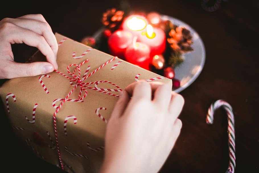 person holding box, close-up photography of person holding gift box HD wallpaper