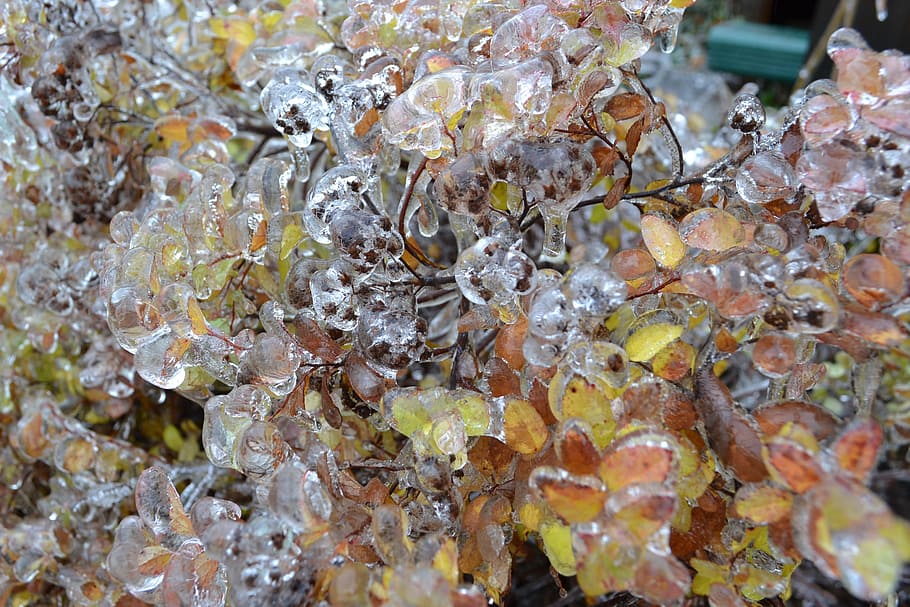 frozen, winter, ice, close-up, no people, backgrounds, full frame HD wallpaper