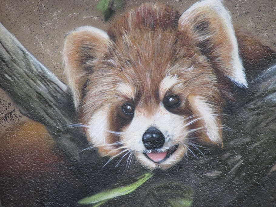 panda, bear, wall art, zoo, berlin, lichtenberg, germany, animal HD wallpaper