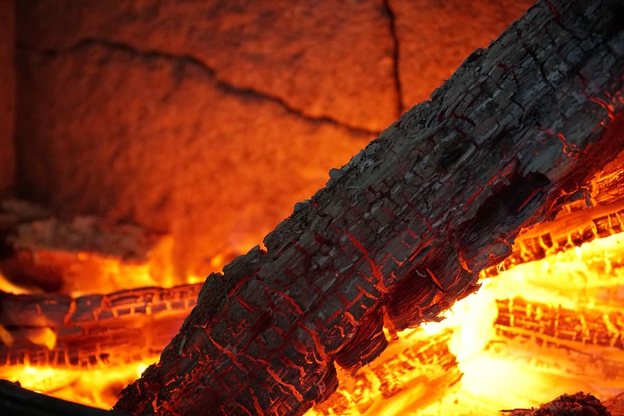 Burning wood, ember burning on charcoal, fire, log, orange, heat - temperature, HD wallpaper