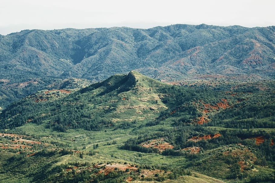 Kauai Mountains, mountain surrounded by trees during daytime HD wallpaper
