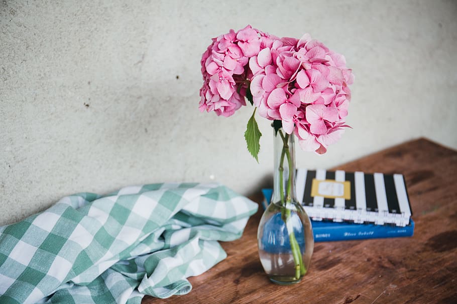 clear glass vase with pink flowers, pink hydrangeas in clear glass vase on brown wooden table HD wallpaper