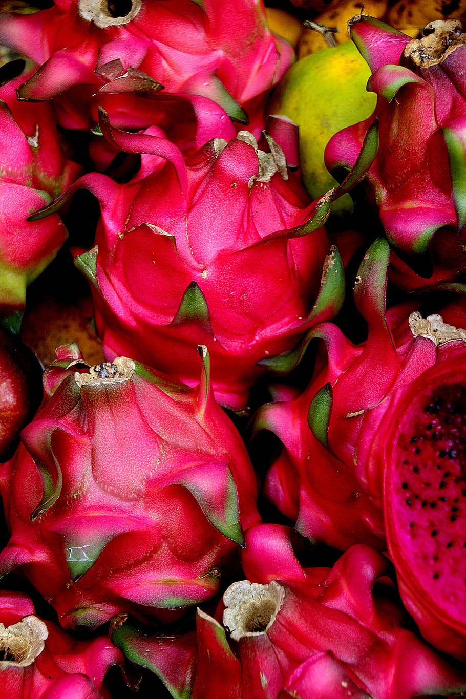 Seamless dragon fruit pattern pitaya background Vector Image