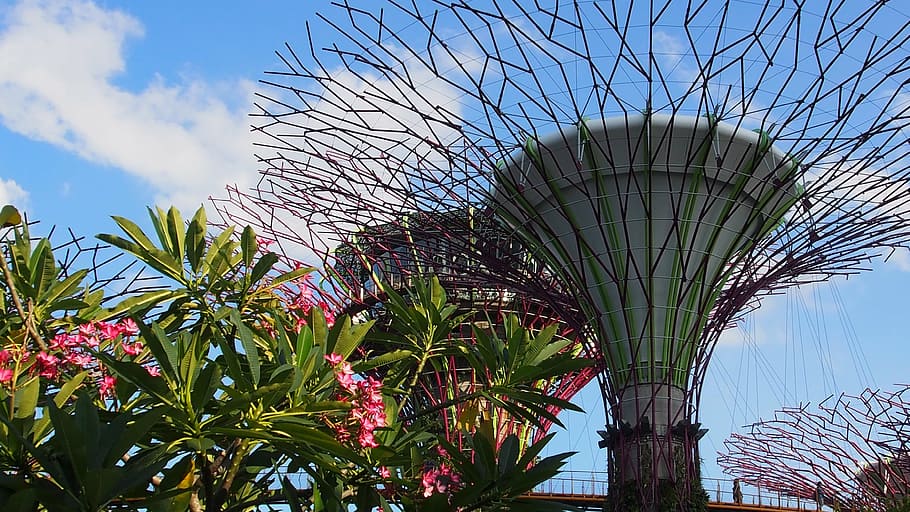 singapore, marina bay, botanic gardens, sky, architecture, nature, HD wallpaper