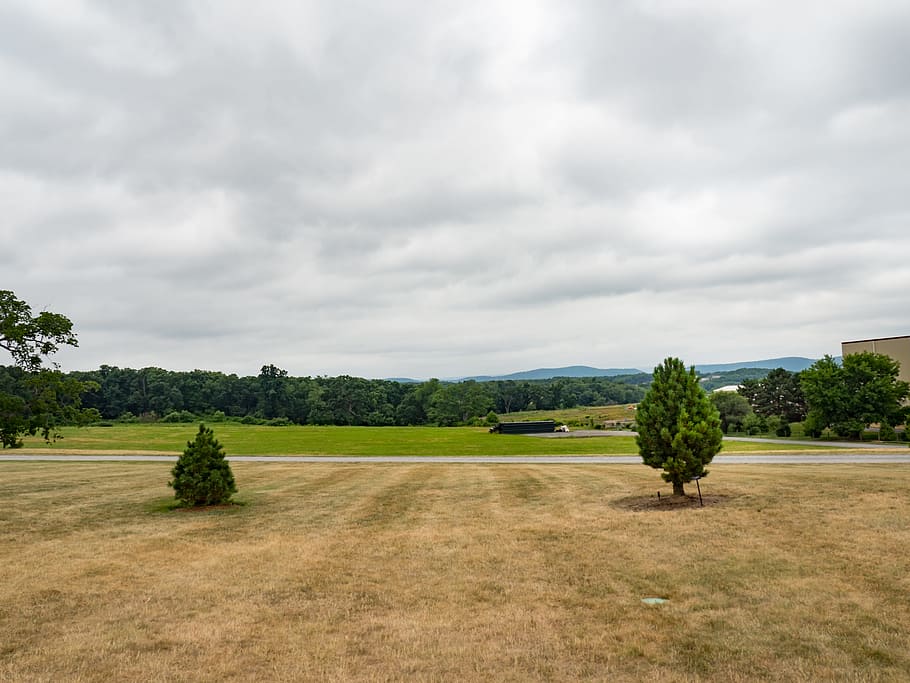 Field with Grass and Mountains, green, landscape, tree, Landscapes HD wallpaper