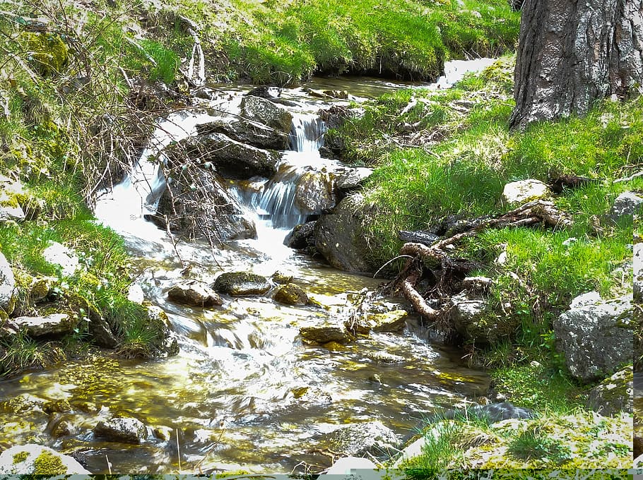 water, forest, movement, nature, highlights, river, natural HD wallpaper
