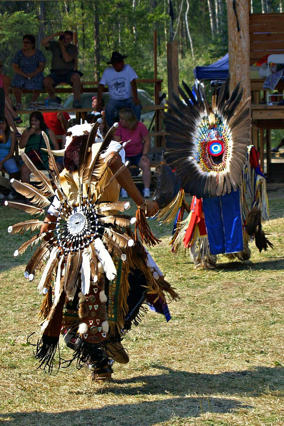 powwow, native, dancer, feathered, tradition, canada, british columbia HD wallpaper