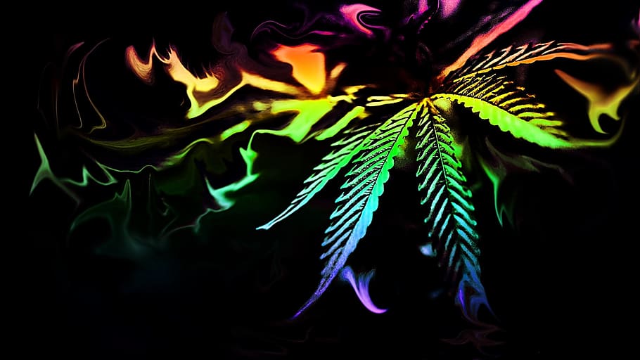 desktop, dark, abstract, color, art, weed, marijuana, cannabis, HD wallpaper