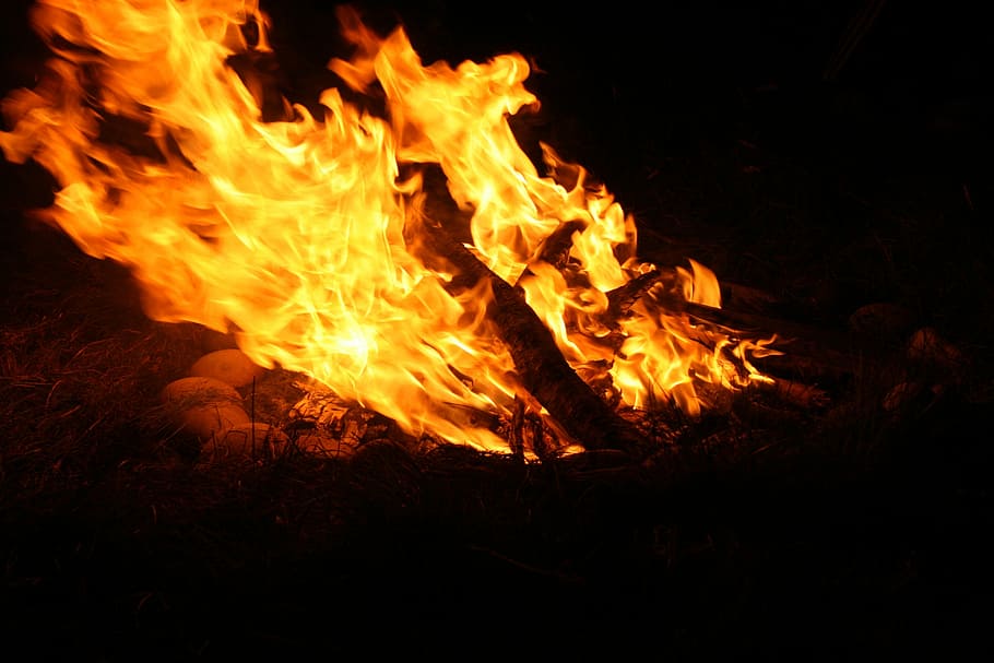 Fire, Campfire, Flame, Embers, Burn, wood, adventure, heat HD wallpaper