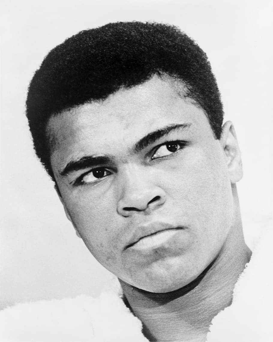 man's profile, muhammad ali, professional boxer, champion, heavyweight HD wallpaper