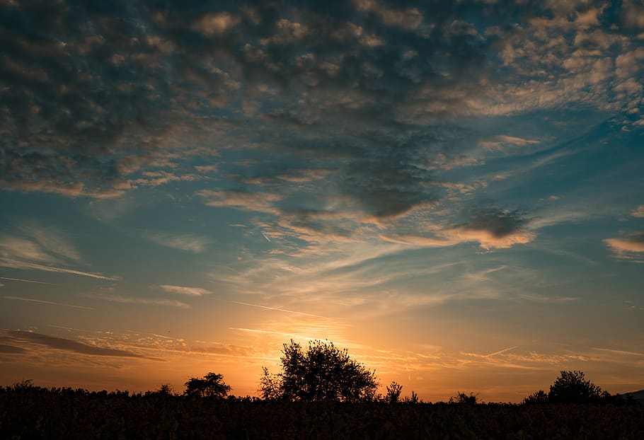 sunset, nature, panorama, sky, tree, cloud - sky, plant, beauty in nature HD wallpaper