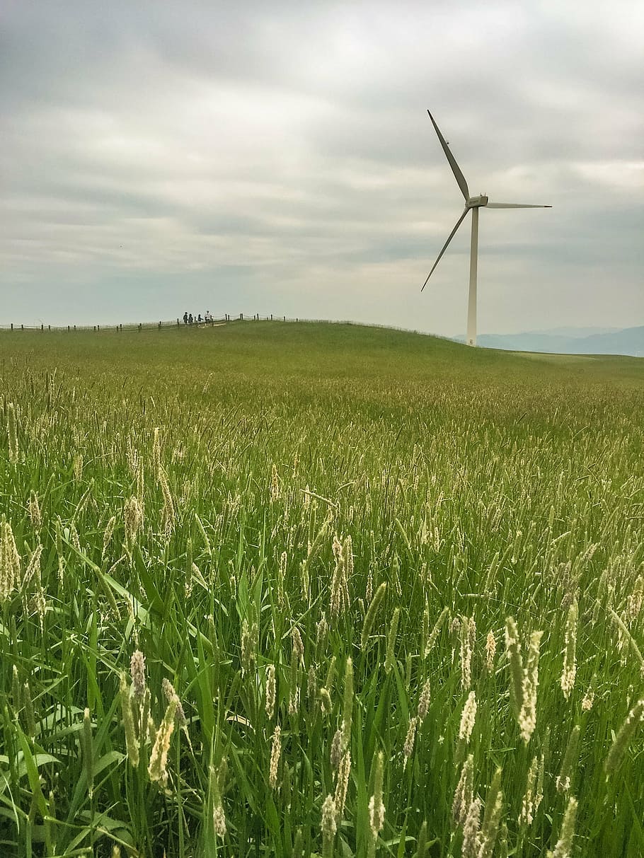 nature, windmill, s, field, pool, pinwheel, park, cloud, peace HD wallpaper
