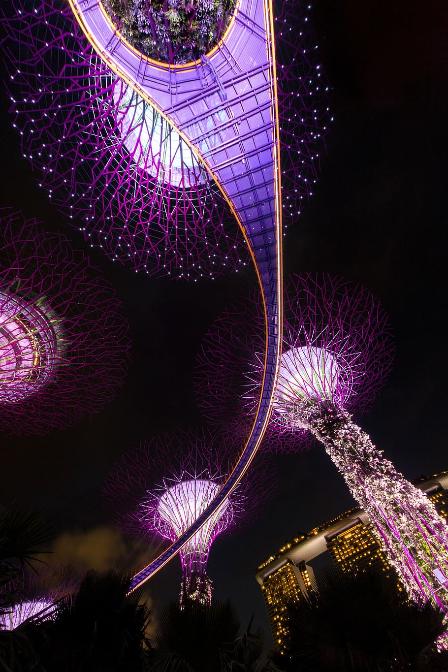 Hd Wallpaper Worm S Eye View Of Purple Tree Lights Singapore Night