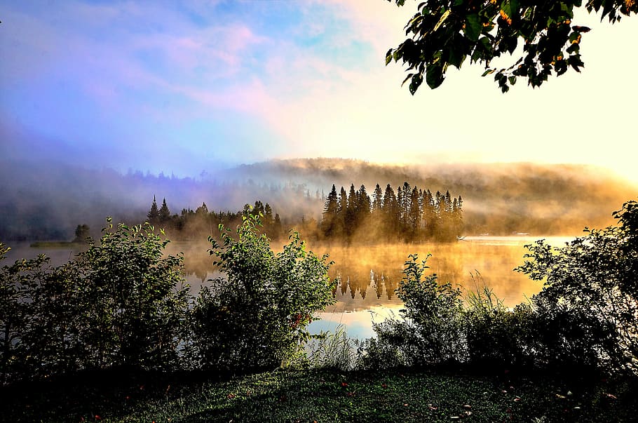 photo of trees reflection beside body of water during daytime HD wallpaper