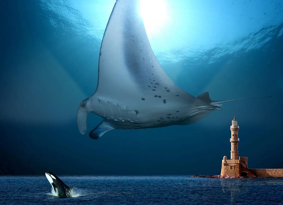 white and gray fish and brown tower painting, sting ray, water world, HD wallpaper