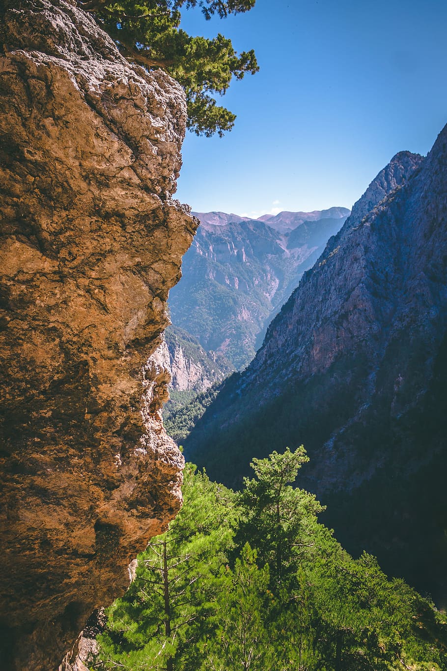 cliff surrounded by forest, landscape, mountain, stone, rock HD wallpaper