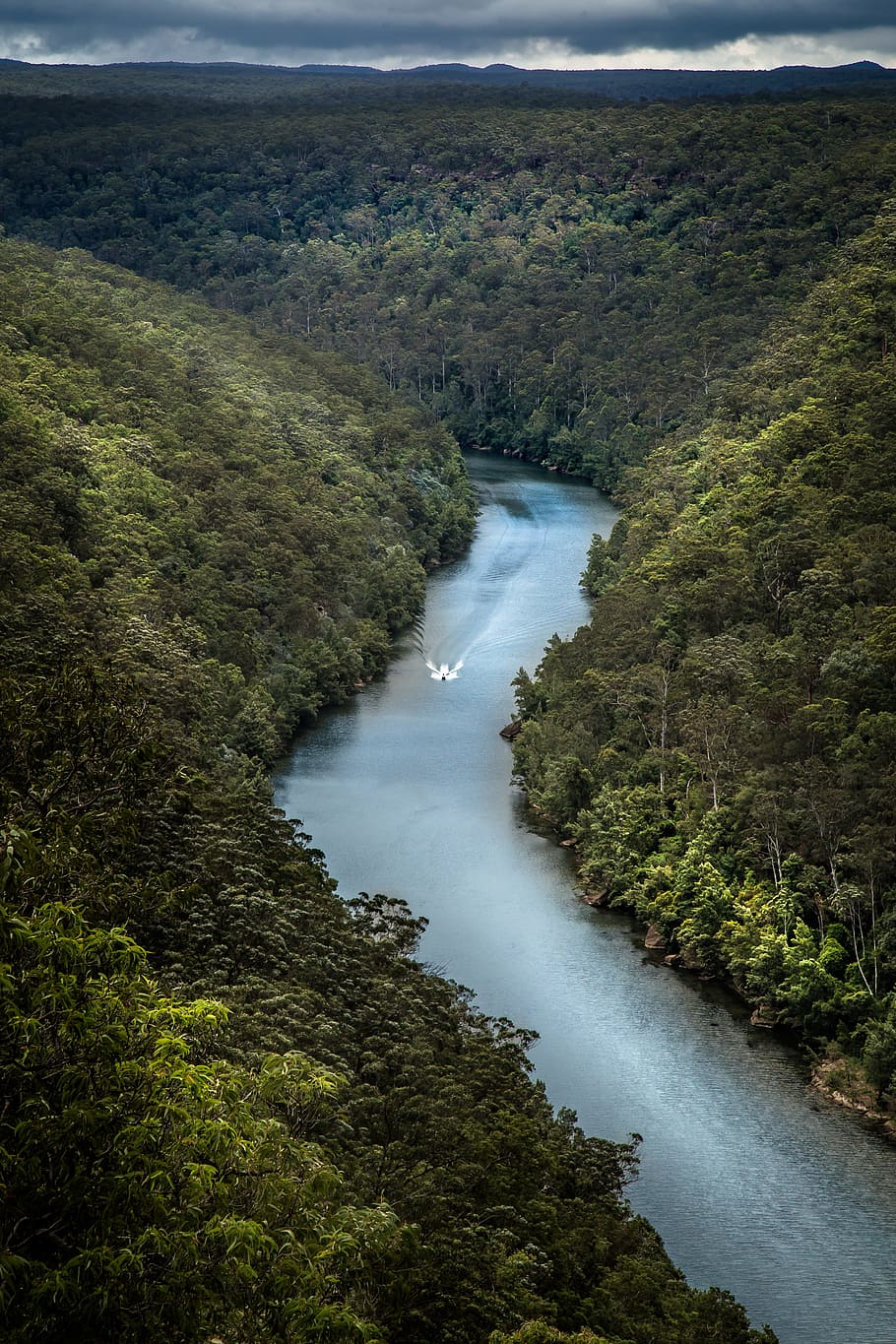 white motorboat passing through the river between tree-covered hills, body of water between green trees at daytime HD wallpaper