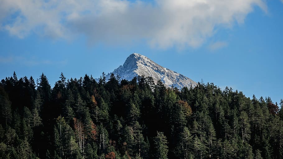 Mountaintop above the trees in Gasse, Austria, clouds, forest HD wallpaper