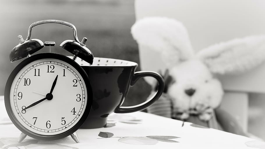 alarm, alarm clock, black-and-white, bunny, cup, hours, indoors
