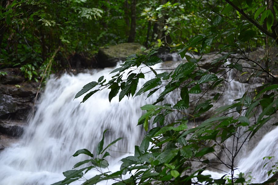 waterfall, nature, stream, river, kathu, thailand, landscape HD wallpaper