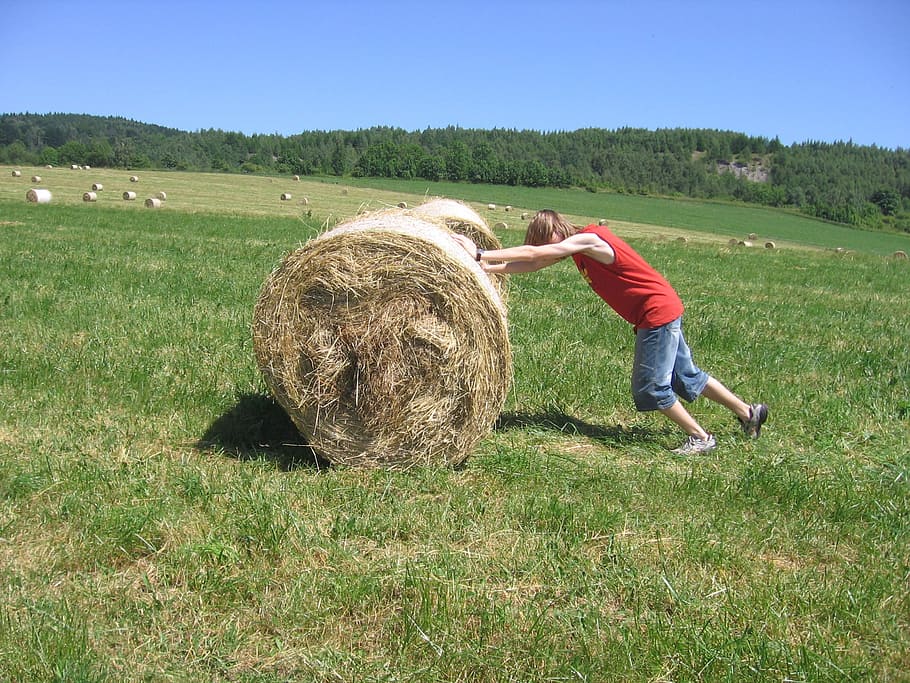meadow, hay, boy, playing, fun, pushing, hay bale, plant, land HD wallpaper