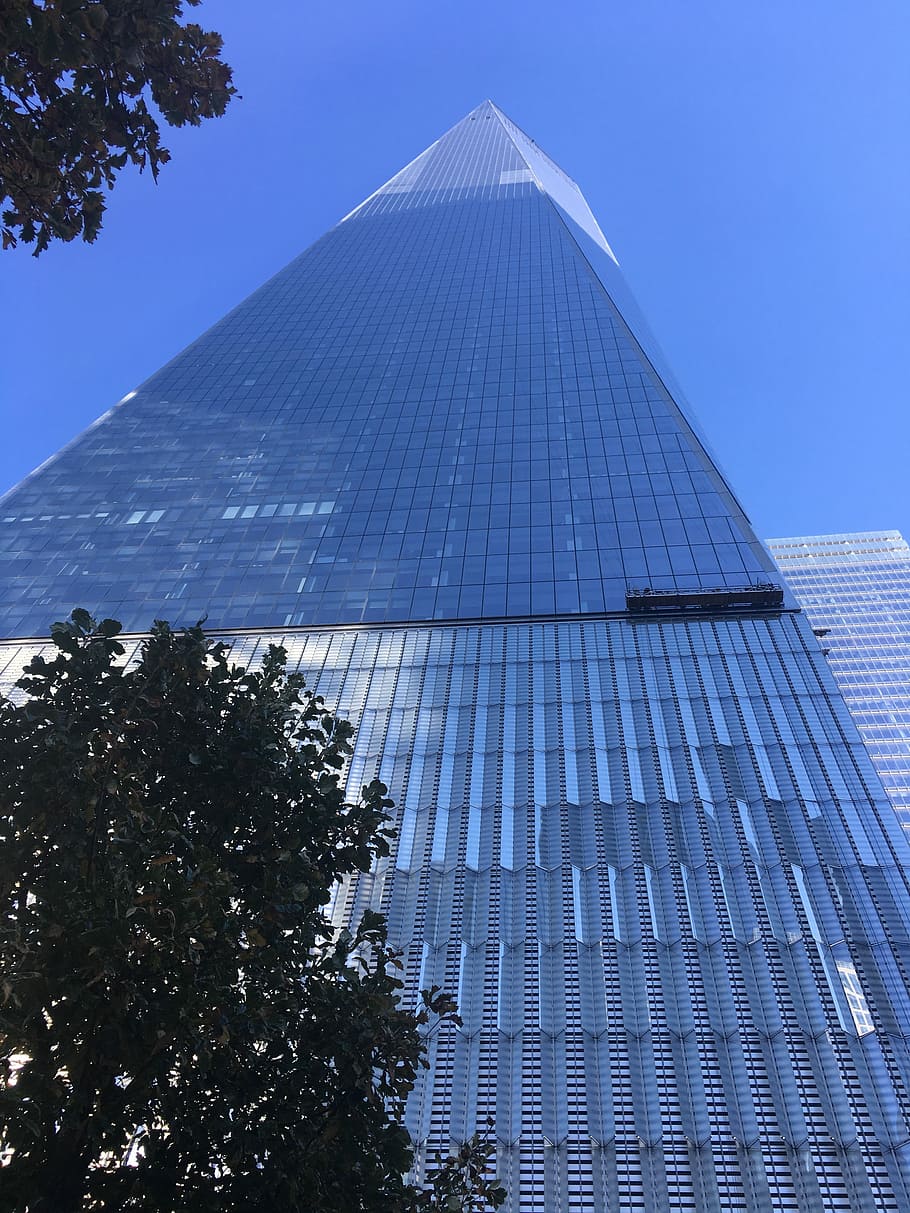 low angle photo of glass building, glass items, architecture HD wallpaper