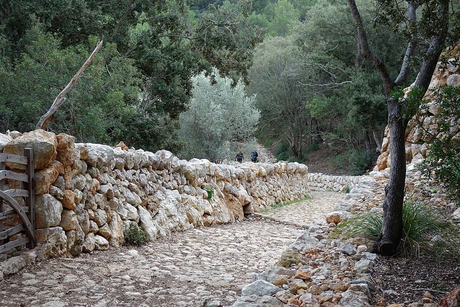 nature, stone, tree, outdoor, sandstone, old road, esporles HD wallpaper