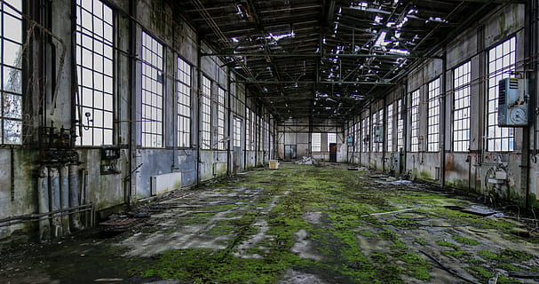 architectural photo of white concrete building interior, ruin HD wallpaper
