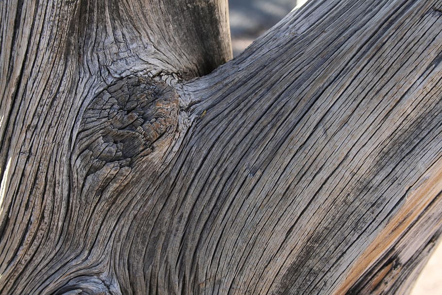 tree, wood, structure, close-up, no people, textured, wood - material HD wallpaper