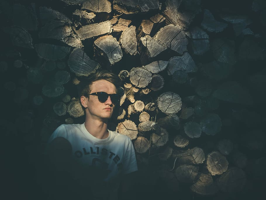 man wearing sunglasses leaning on chopped trees, man standing in front of logs HD wallpaper
