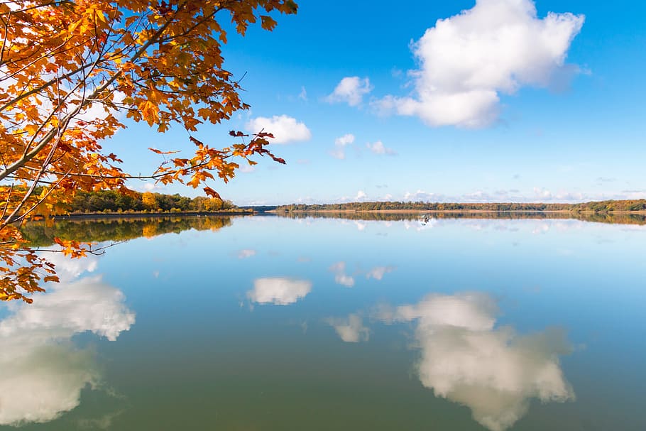 mountain across body of water under blue sky, fall leaves, tree HD wallpaper